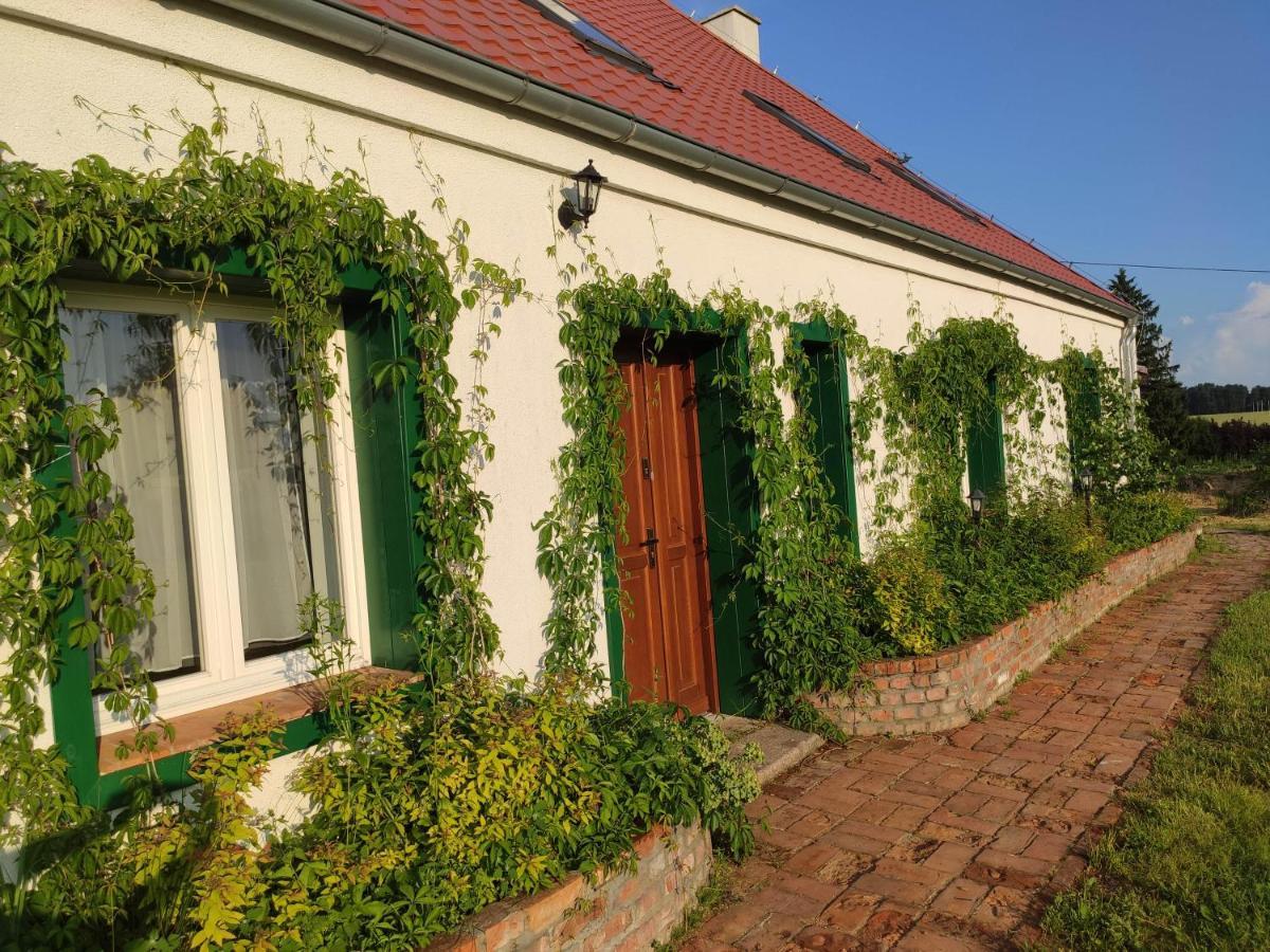 Srokowski Dwor 1 - Mazurski Dwor - 450M2 Srokowo Exterior foto